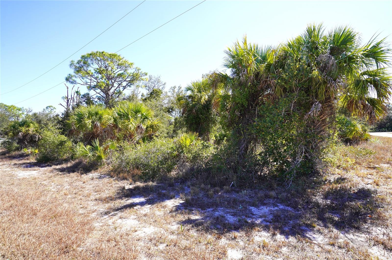 17129 WINTERGARDEN AVENUE