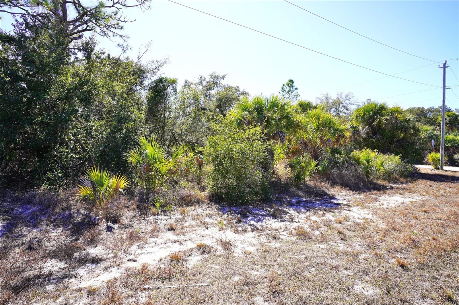 17129 WINTERGARDEN AVENUE