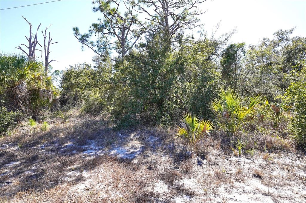 Photo of 17129 Wintergarden Avenue, Port Charlotte, FL 33948 (MLS # C7521706)