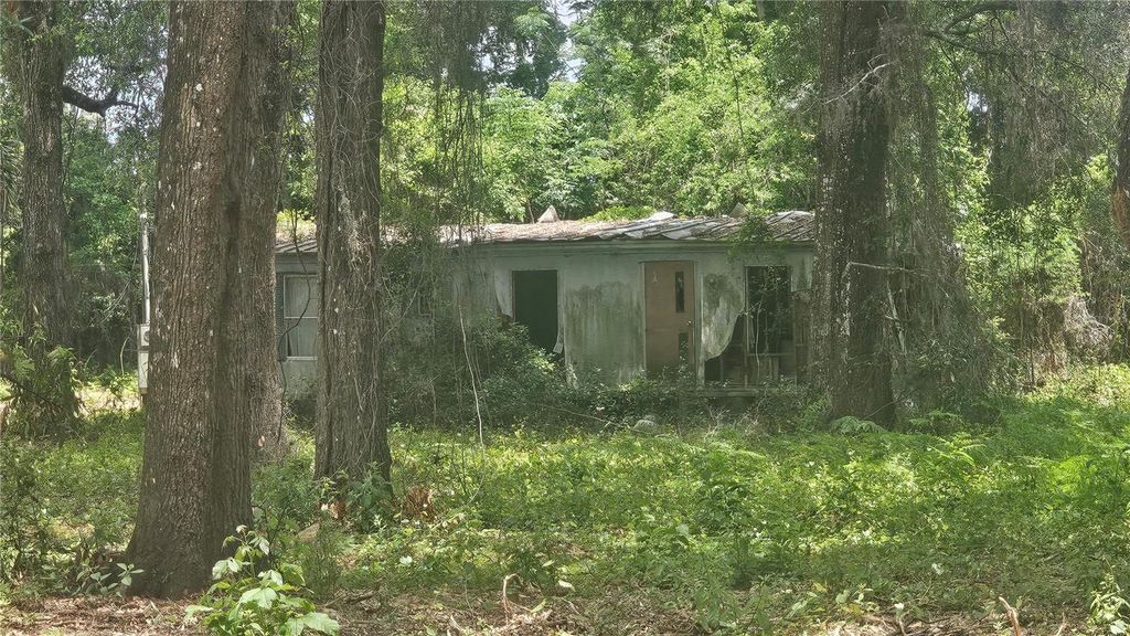 Photo of 17693 SE 30th Avenue, Summerfield, FL 34491 (MLS # O6335433)