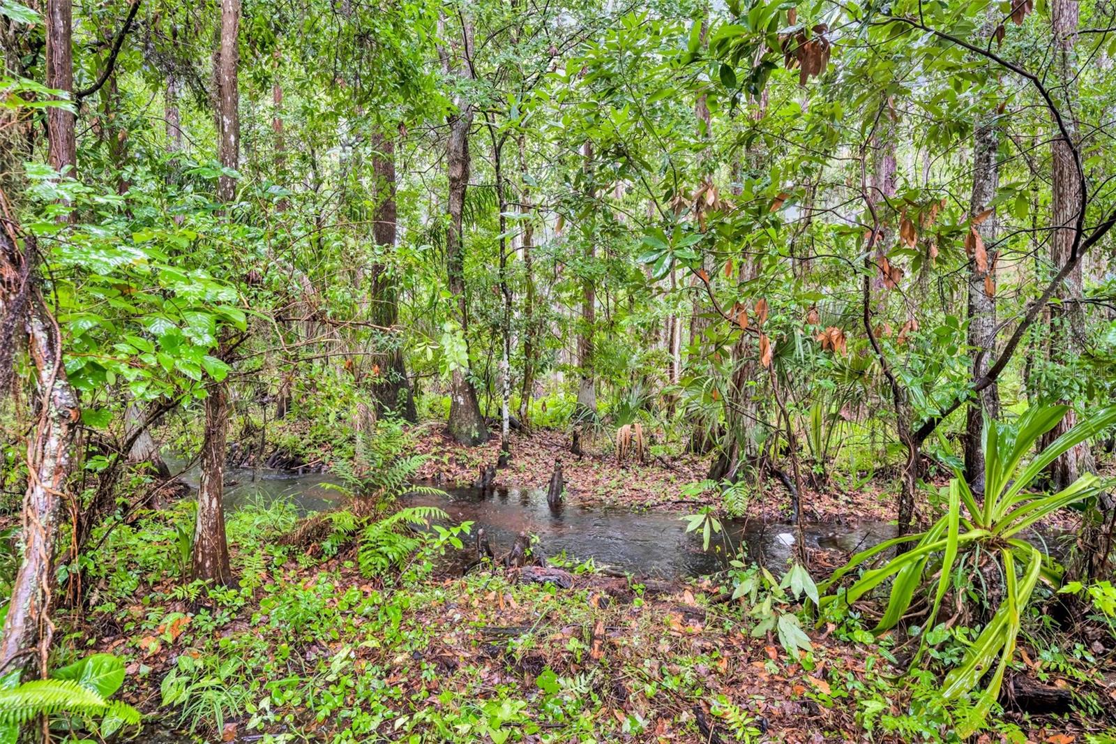 COUNTRYWALK PH 01 - Residential