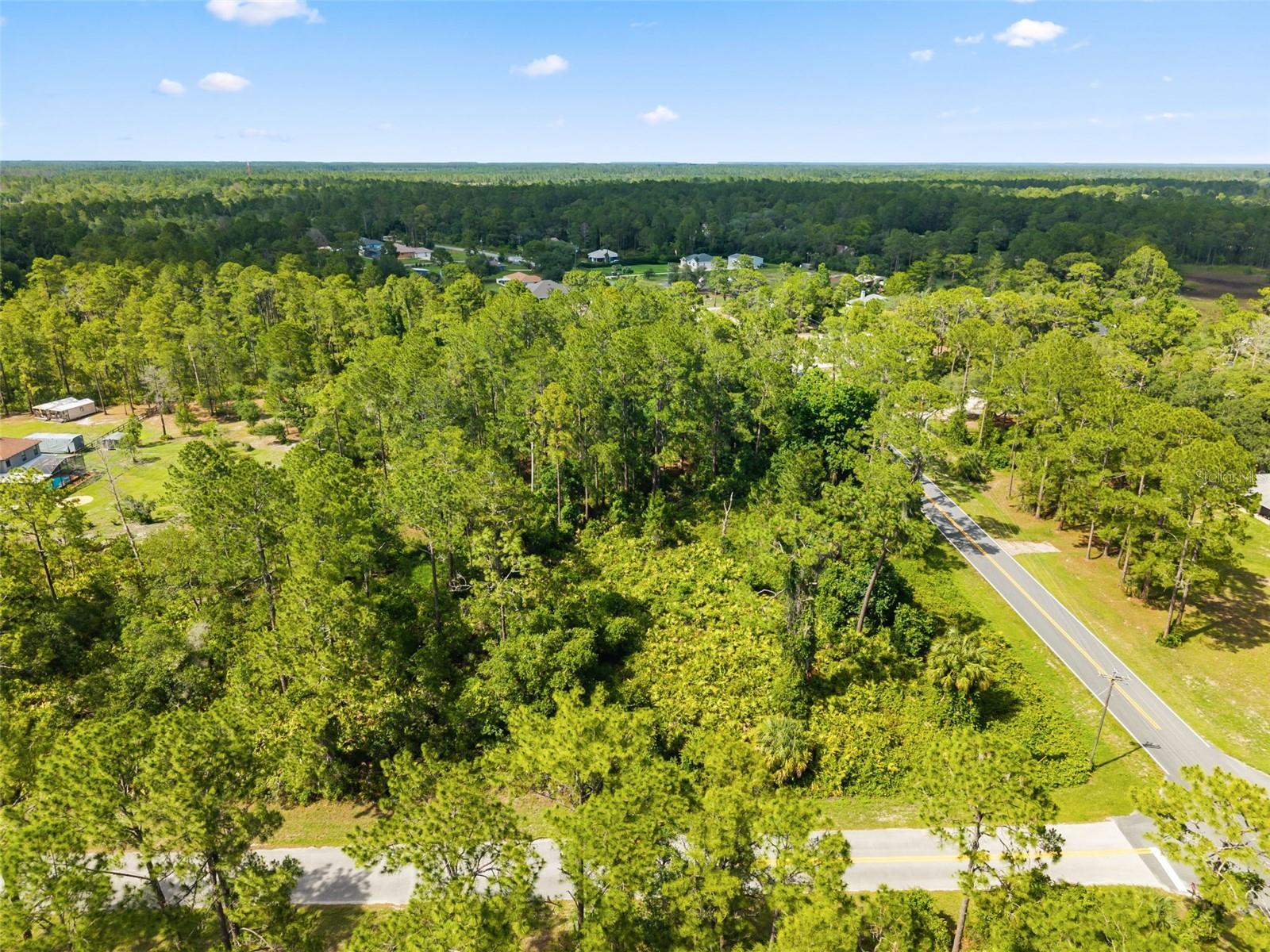 ROYAL TRAILS ROAD