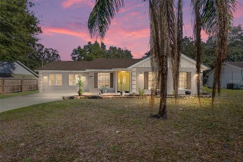 40140 PALM STREET LADY LAKE FL 32159