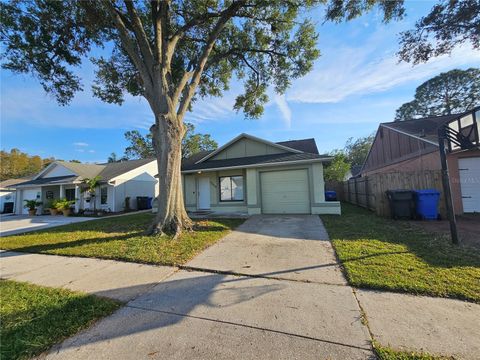 A home in TAMPA