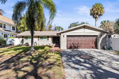 A home in TAMPA