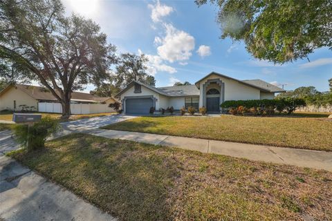 A home in RIVERVIEW