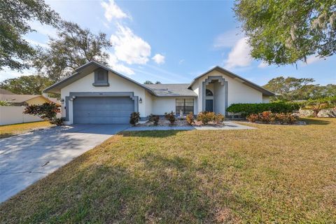 A home in RIVERVIEW