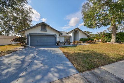 A home in RIVERVIEW