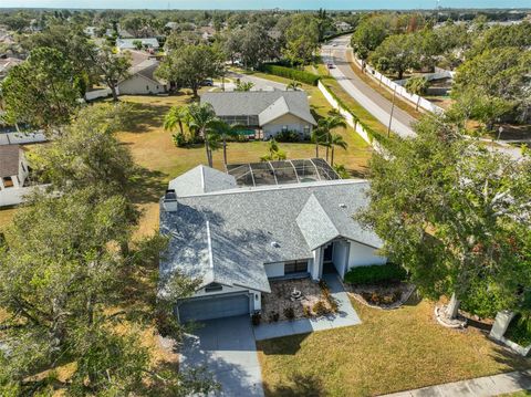 A home in RIVERVIEW