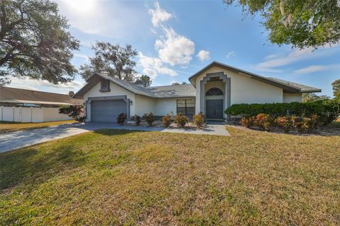 A home in RIVERVIEW