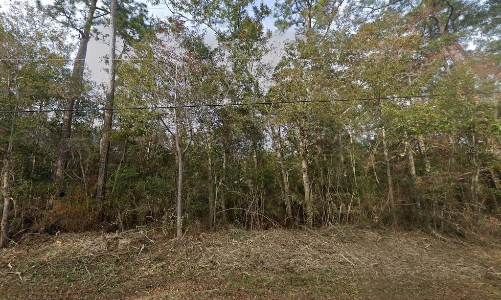 Photo of 1875 Pearson Road, Milton, FL 32583 (MLS # A4689778)