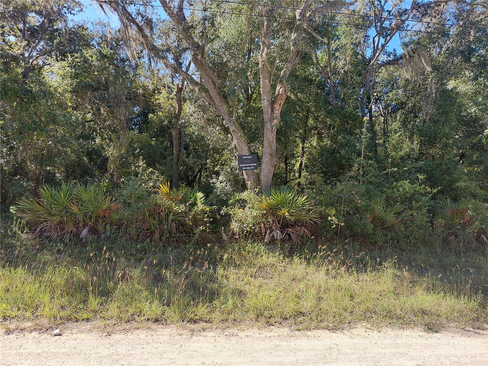 BUTTERNUT DRIVE