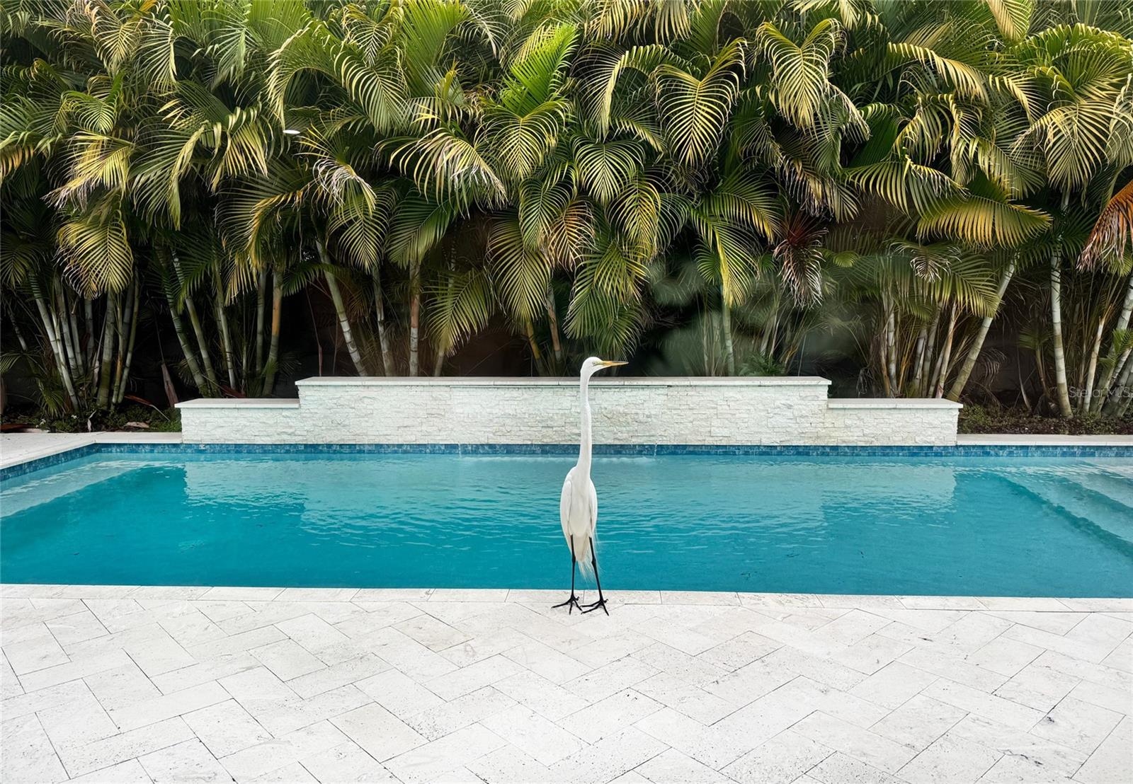 OVERLOOK DRIVE ESTATE - Residential