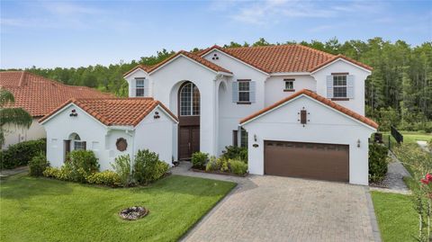 A home in KISSIMMEE