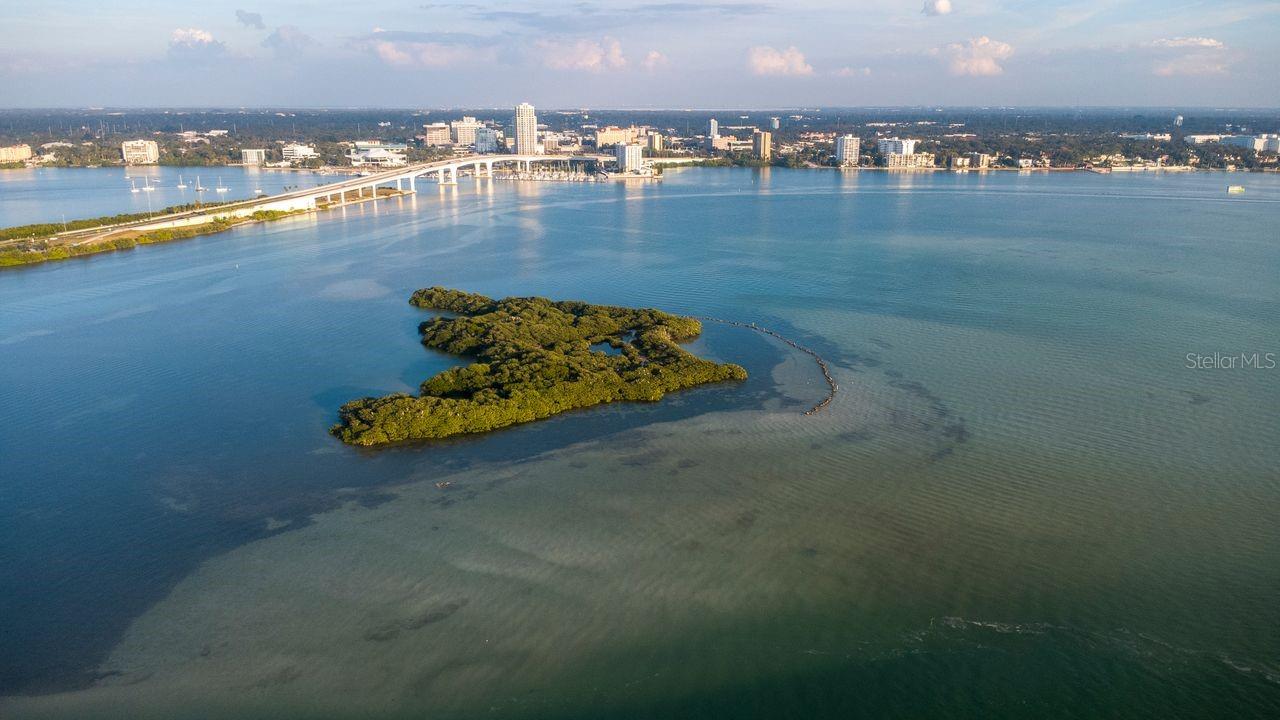 CLEARWATER POINT 8 TENNIS - Residential