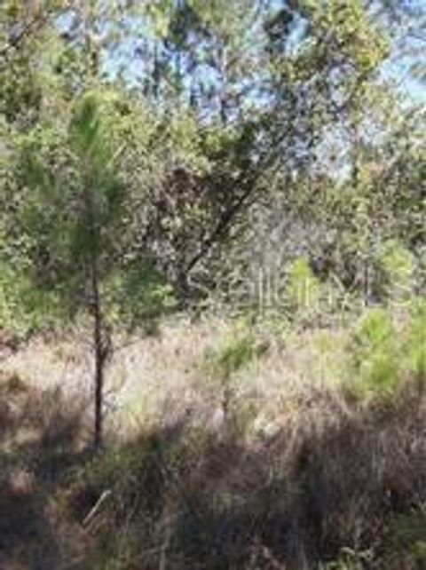 WATER ROAD GROVELAND FL 34736