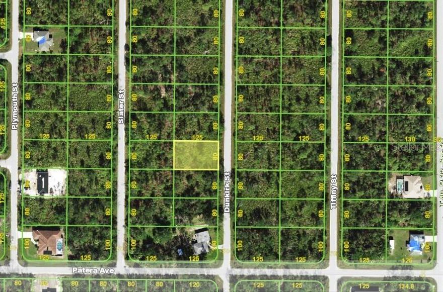 Great deal on a lot in a fast growing area of Port Charlotte! Many new construction houses near by. Not in a Flood Zone, no flood insurance required!!