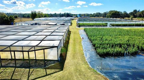 Tiny photo for 23010 Wolf Branch Road, Sorrento, FL 32776 (MLS # G5106468)