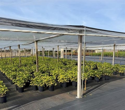 Tiny photo for 23010 Wolf Branch Road, Sorrento, FL 32776 (MLS # G5106468)