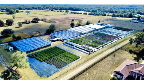 Tiny photo for 23010 Wolf Branch Road, Sorrento, FL 32776 (MLS # G5106468)