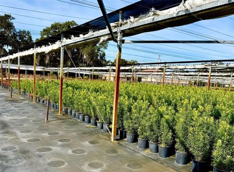 Tiny photo for 23010 Wolf Branch Road, Sorrento, FL 32776 (MLS # G5106468)