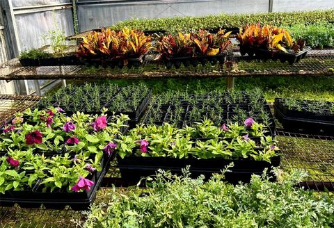 Tiny photo for 23010 Wolf Branch Road, Sorrento, FL 32776 (MLS # G5106468)