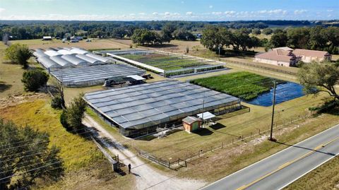 Tiny photo for 23010 Wolf Branch Road, Sorrento, FL 32776 (MLS # G5106468)