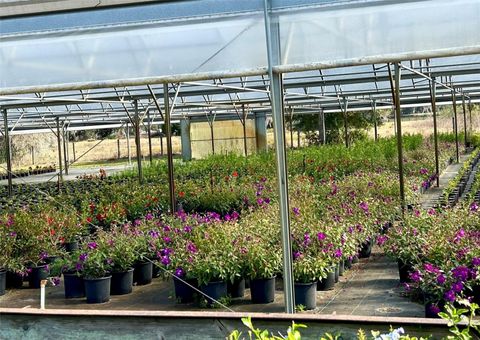 Tiny photo for 23010 Wolf Branch Road, Sorrento, FL 32776 (MLS # G5106468)