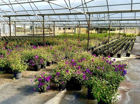 Tiny photo for 23010 Wolf Branch Road, Sorrento, FL 32776 (MLS # G5106468)