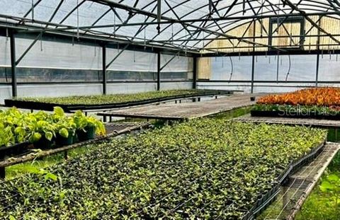 Tiny photo for 23010 Wolf Branch Road, Sorrento, FL 32776 (MLS # G5106468)