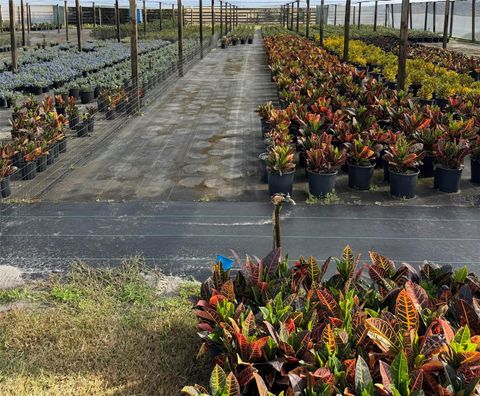 Tiny photo for 23010 Wolf Branch Road, Sorrento, FL 32776 (MLS # G5106468)