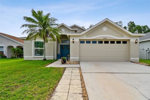 30918 BURLEIGH DRIVE WESLEY CHAPEL FL 33543