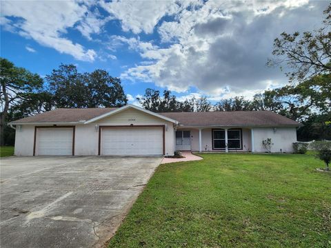 A home in SPRING HILL