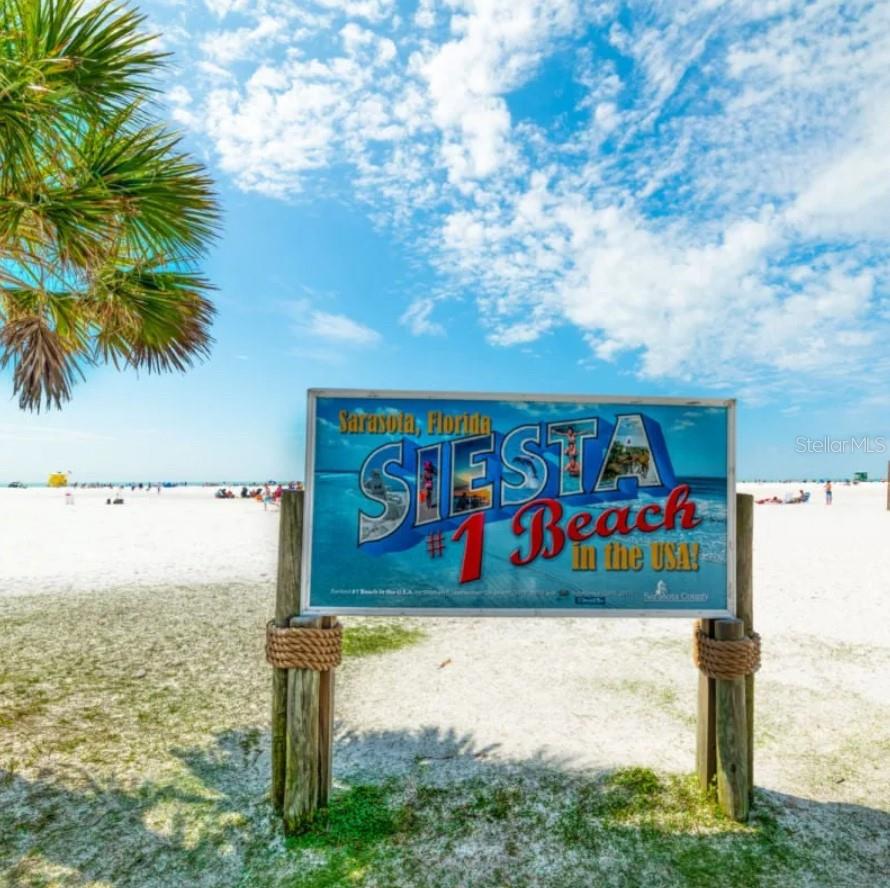 SARASOTA PALMS - Residential