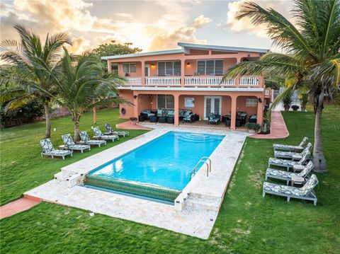 Parcela #10 BARRIO CAMINO NUEVO YABUCOA 00767