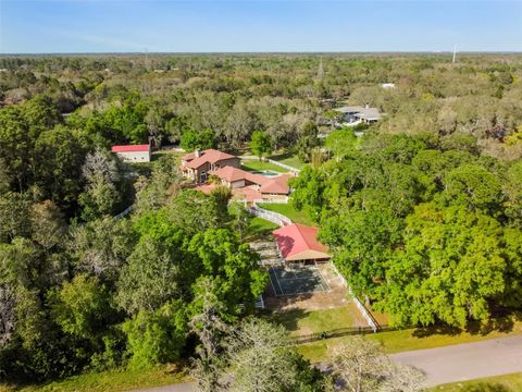 A home in TARPON SPRINGS