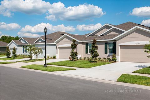 A home in LAND O LAKES