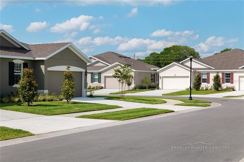 A home in LAND O LAKES