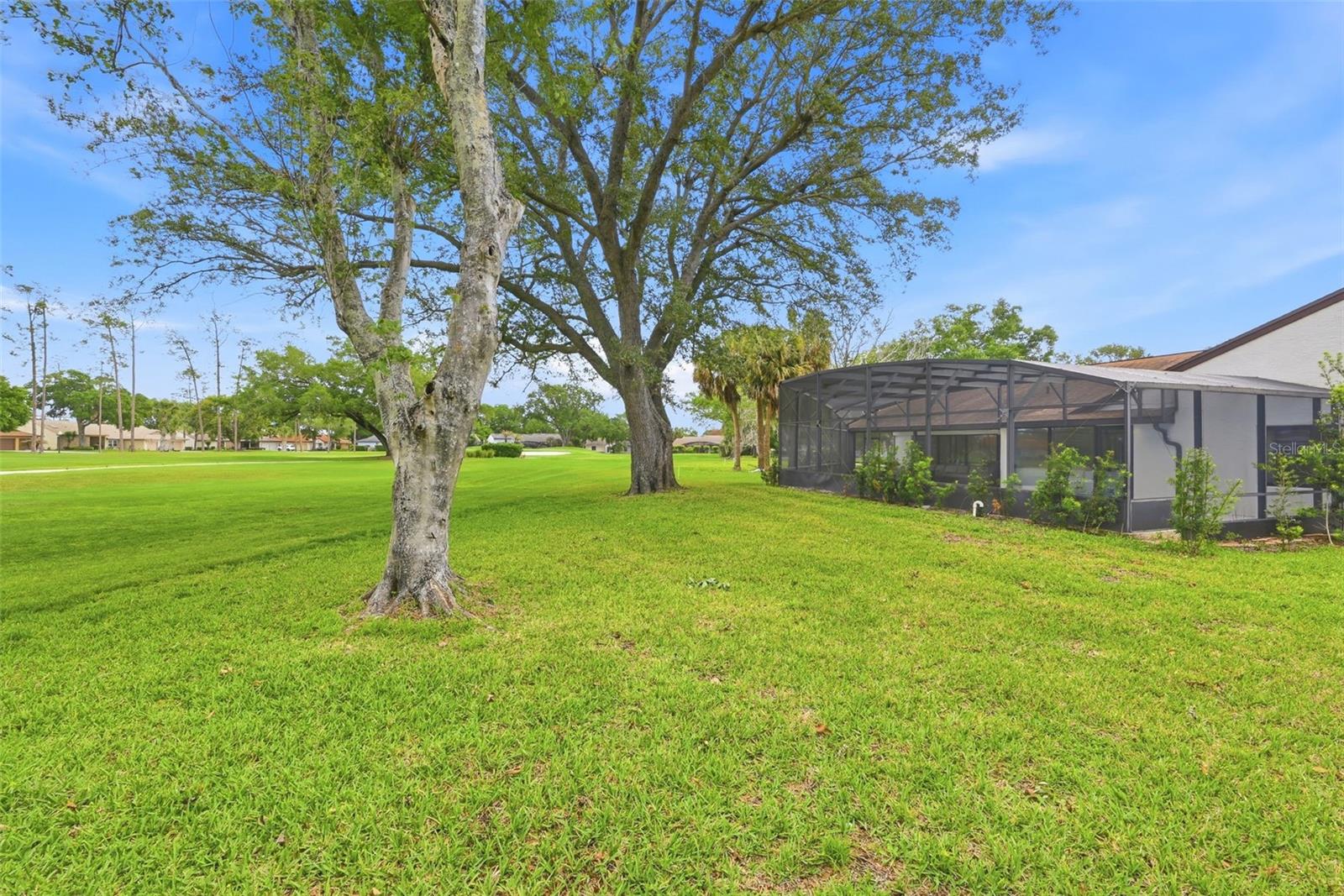 ORANGE TREE COUNTRY CLUB - Residential