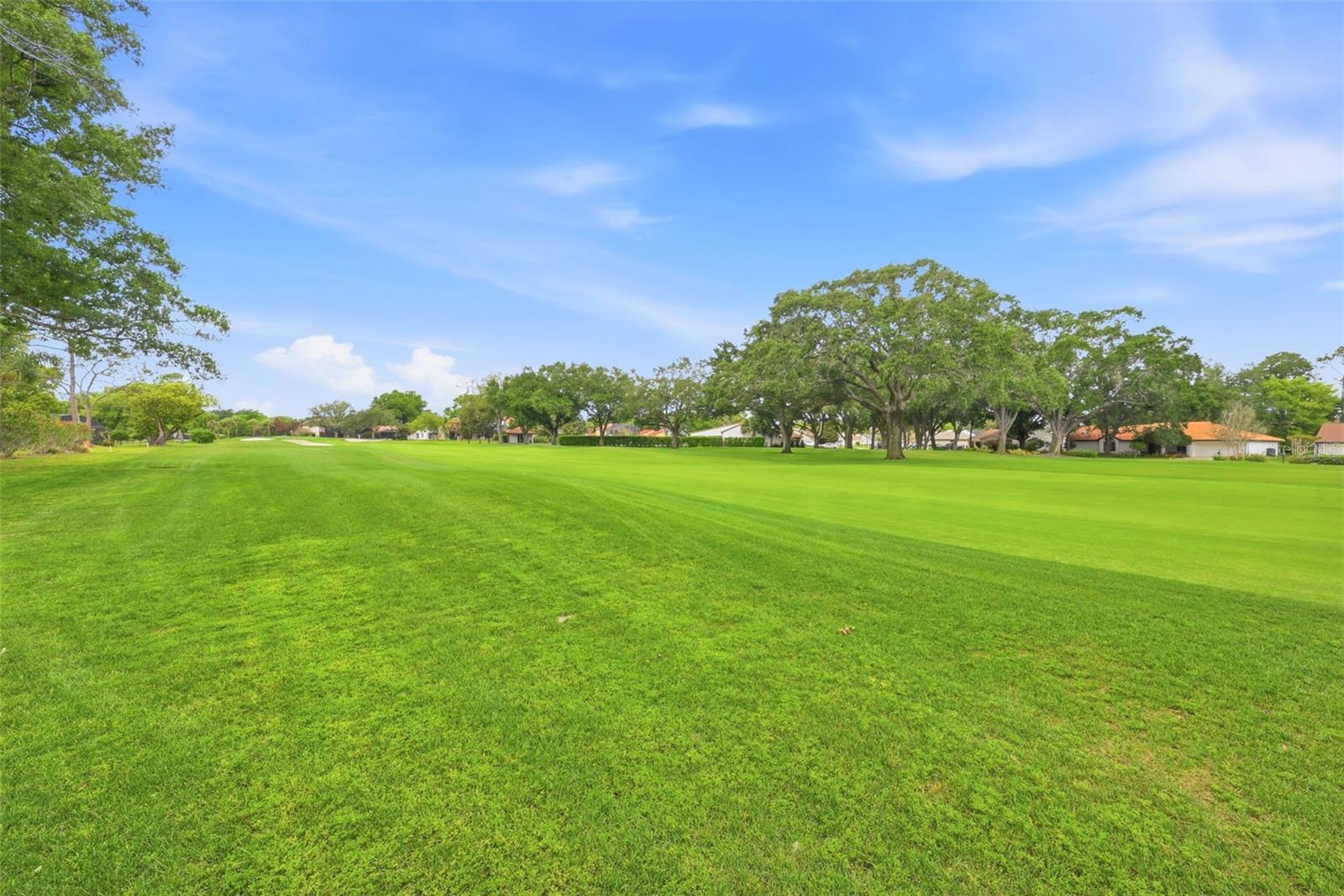 ORANGE TREE COUNTRY CLUB - Residential