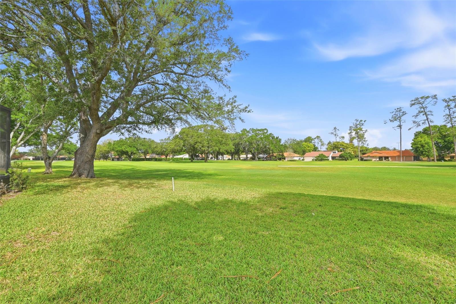 ORANGE TREE COUNTRY CLUB - Residential