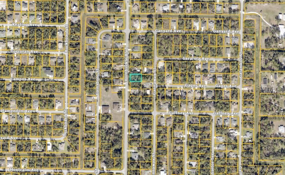 HORNBUCKLE BOULEVARD