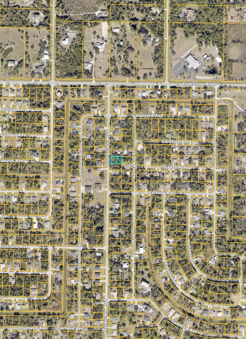 HORNBUCKLE BOULEVARD