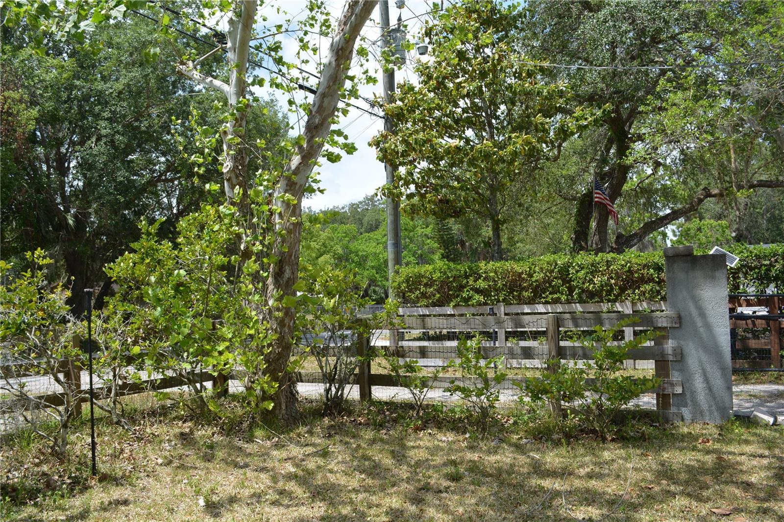 Listing image 1