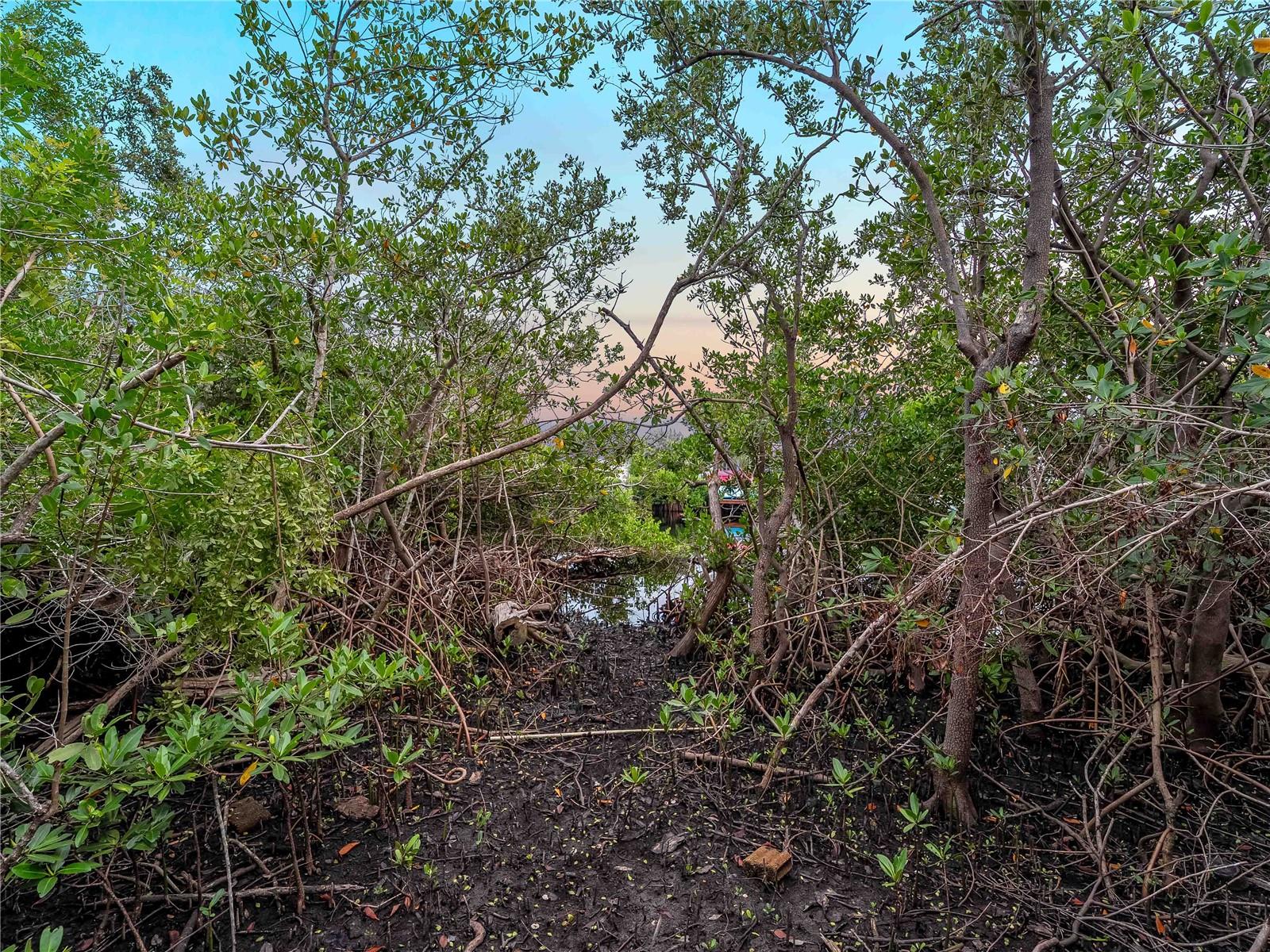 EAGLE POINT CLUB THE - Residential