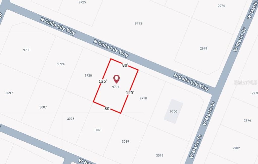 Photo of 9714 W Calla Lily Drive, Dunnellon, FL 34433 (MLS # O6366048)