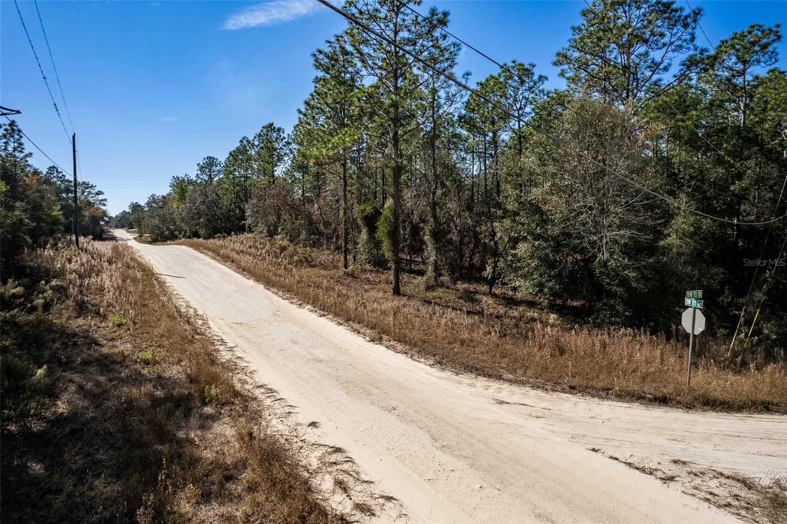 ROLLING HILLS UNIT 2 HILLS OF OCALA - Land