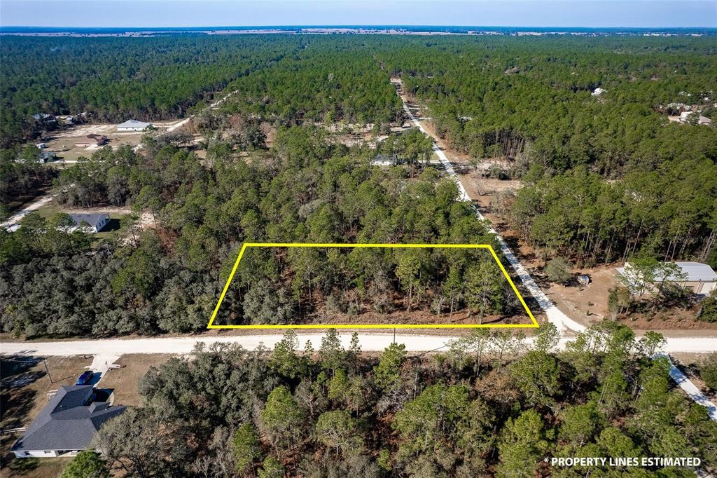 Photo of 00 SW 75th, Dunnellon, FL 34432 (MLS # L4957568)