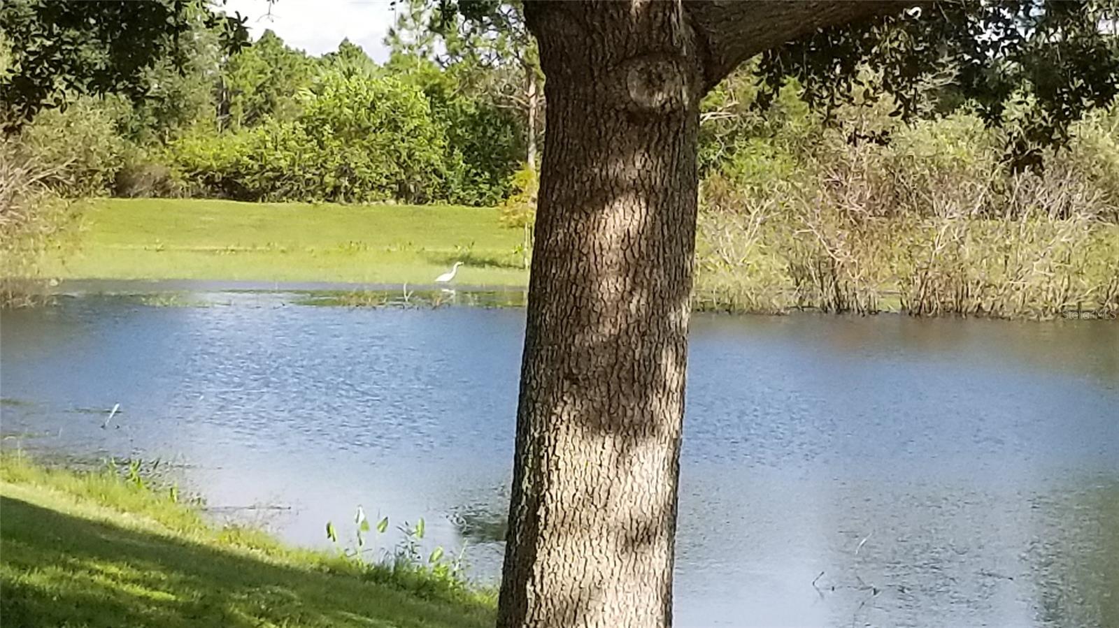 PORT CHARLOTTE SUB 51 - Land