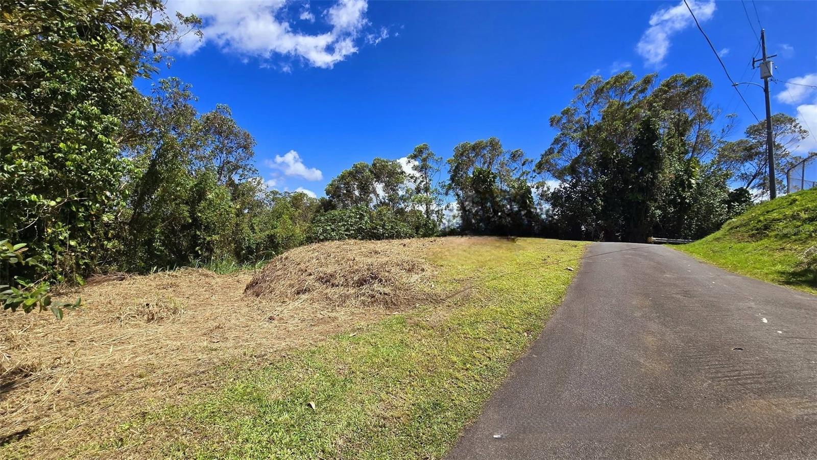 St. 809 CEDRO ARRIBA SECTOR SANTA TERESITA II 2